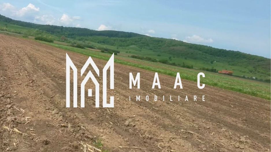 Teren | Extravilan | Oportunitate Investiție | 10 000 MP | Bradu - Poză 2