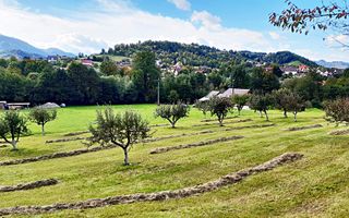 Teren superb de 16240mp, parcelabil, in Bran la intrare in Moeciu de Jos - Poză 13