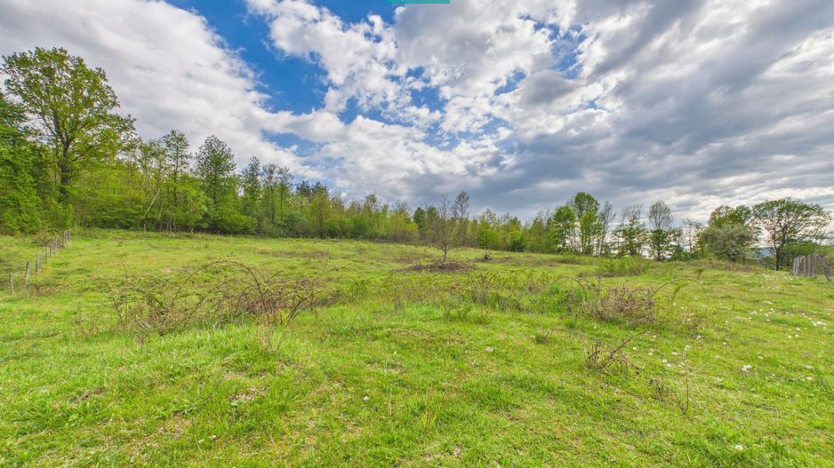 Casă cu teren de 17.681 mp, în loc. Hălmăgel, Arad - Poză 28