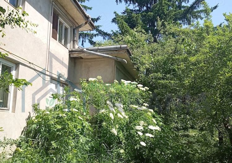 Teren intravilan 11.000 mp și casă 200 mp – Târgu Frumos - Poză 2