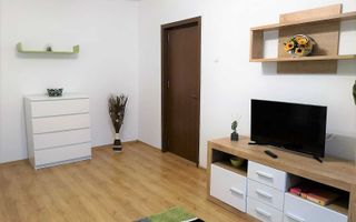 Garsoniera de vanzare Gorjului - Poză 4