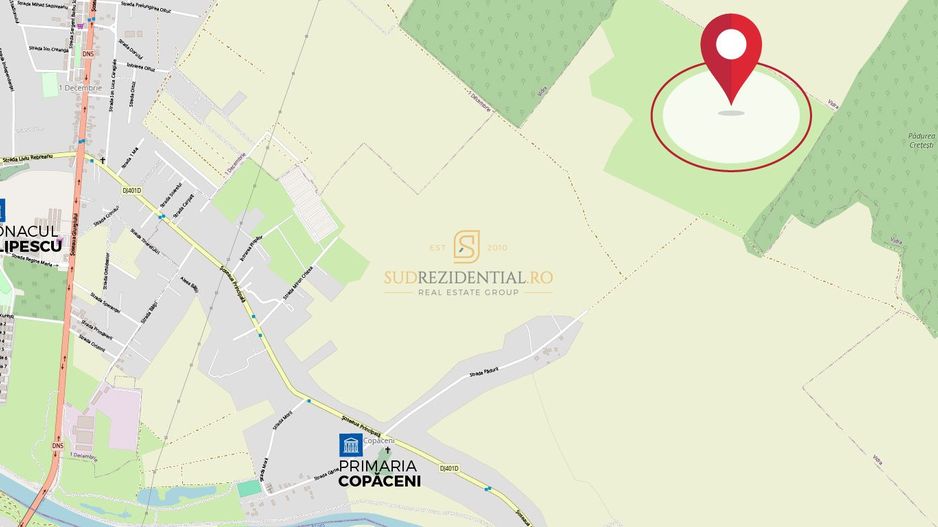 Teren intravilan 38.876 mp, Deschidere 72 ml, Copaceni, Vidra - Poză 4