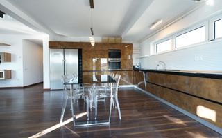 Panoramic View to Herastrau Lake, 5 rooms apartment - Poză 12