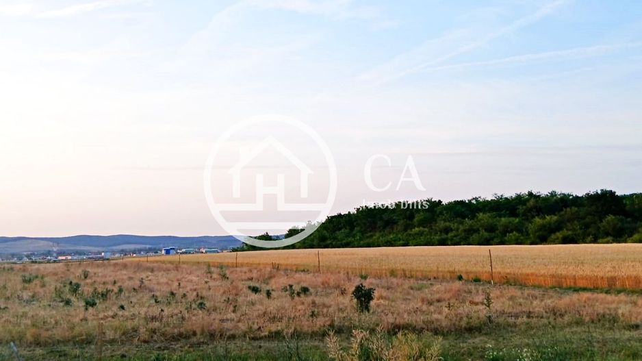 Teren intravilan de vanzare in Alparea, Bihor - Poză 2