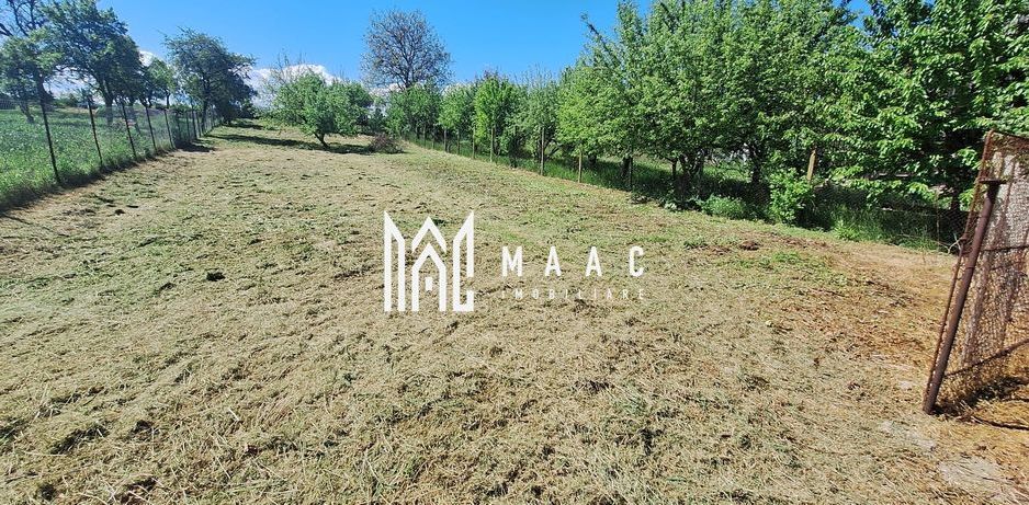 Casa 4 Camere | 1300 mp Teren | Miercurea Sibiului - Poză 4