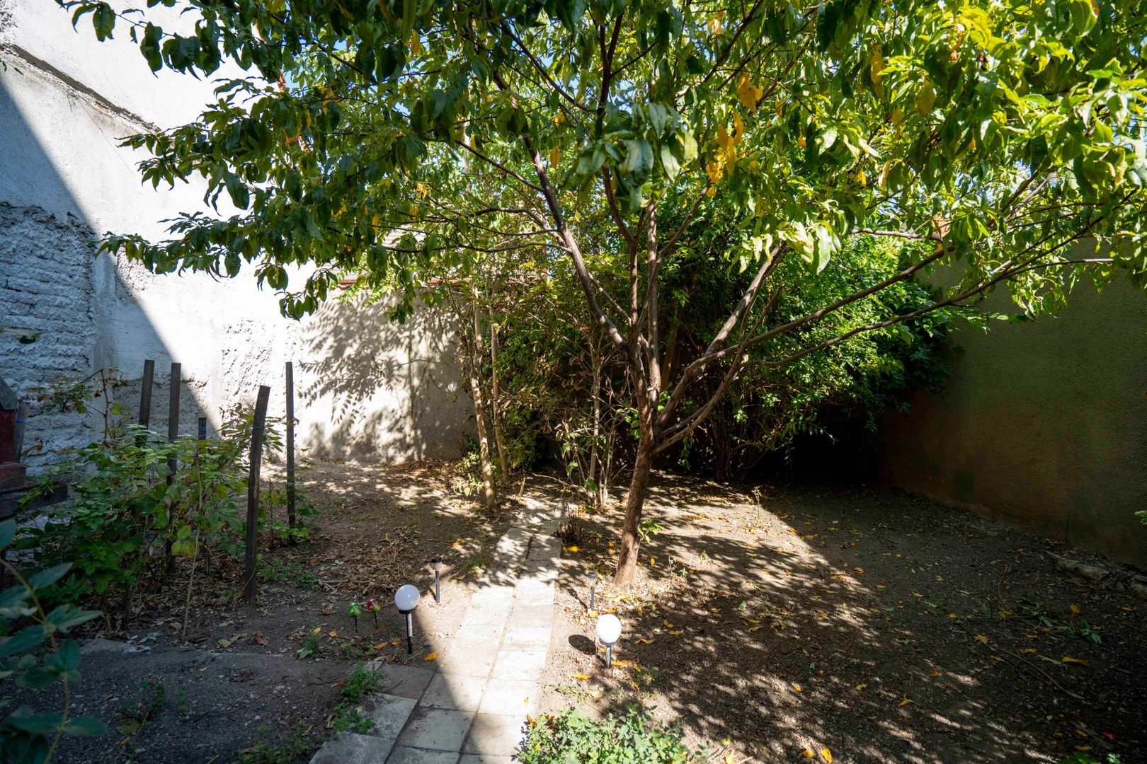 Casa de vanzare, Cantemir - Poză 12