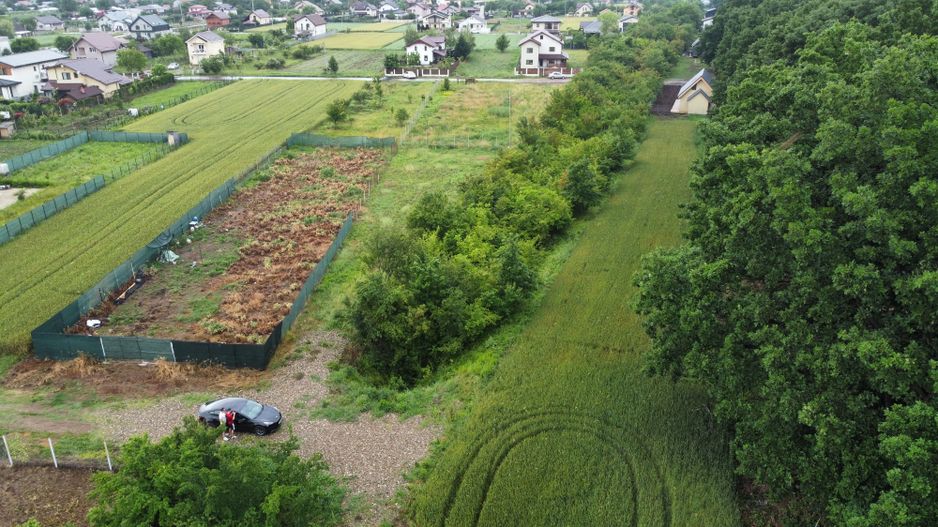 Teren superb Moara Vlasiei - langa padure (COMISION ZERO) - Poză 7