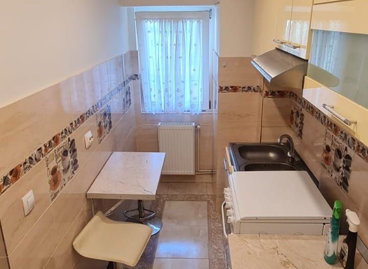 Apartament 1 camera Dec 45 mp Tatarasi 400 euro - Poză 3