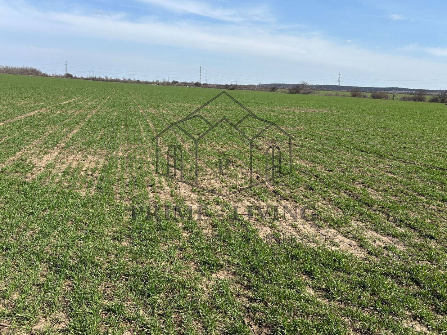 Teren pentru investiție - Poză 3