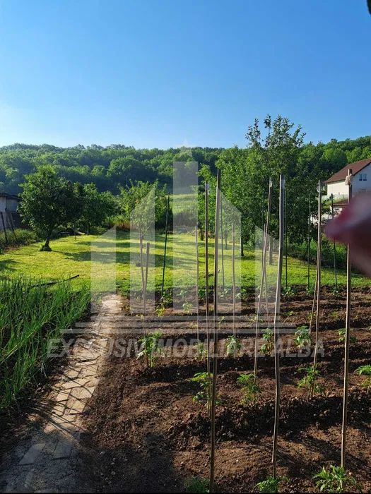 Teren intravilan de vanzare, Ciugud - Poză 2