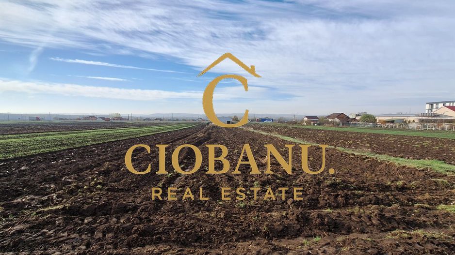 Hala de vanzare in Racari de Jos - Poză 14