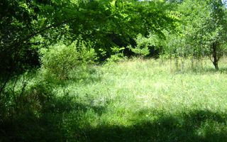 Teren de vanzare in Cornu 1585 mp - Negociabil - Poză 5