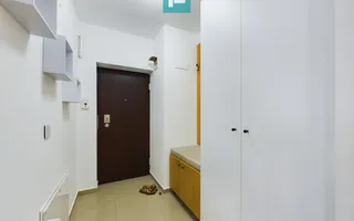 Apartament cu 3 camere în Subcetate - Poză 12