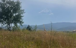 Teren | Intravilan | 389 mp | Micesti