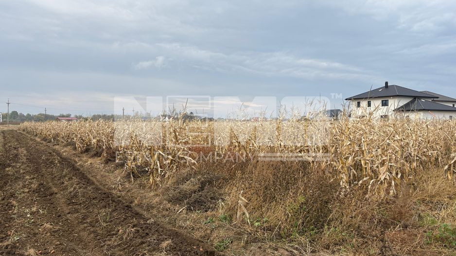 Teren de vânzare | 52 ari | intravilan | Zonă liniștită | Rădăuți - Poză 6