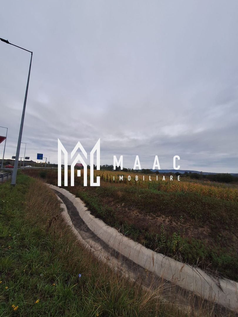 Teren | Extravilan | 4.720 Mp | Selimbar - Poză 2