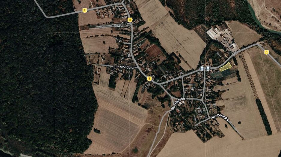 20 minute de capitala-Intravilan cu acces rapid la A3 in comuna Nuci! - Poză 3