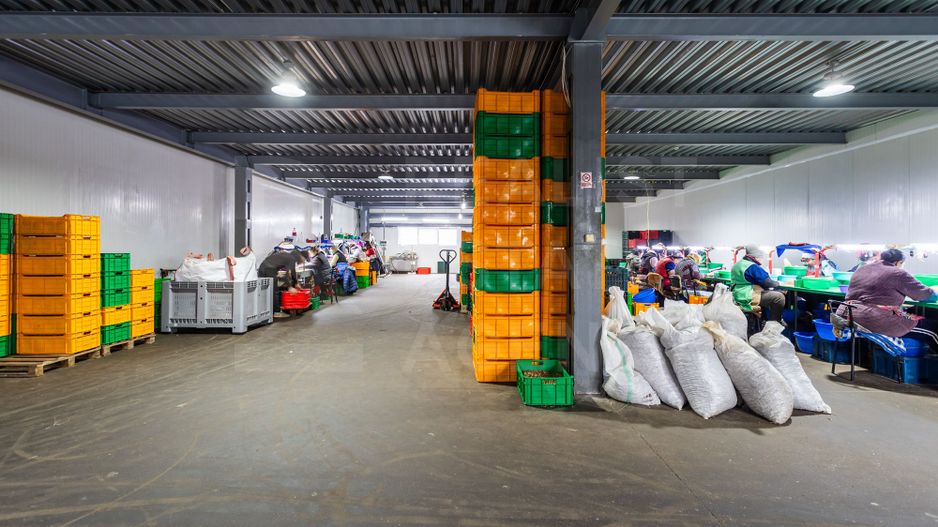 Vânzare, spatiu industrial, 2125 mp, strada Calarasilor, Călărași - Poză 25