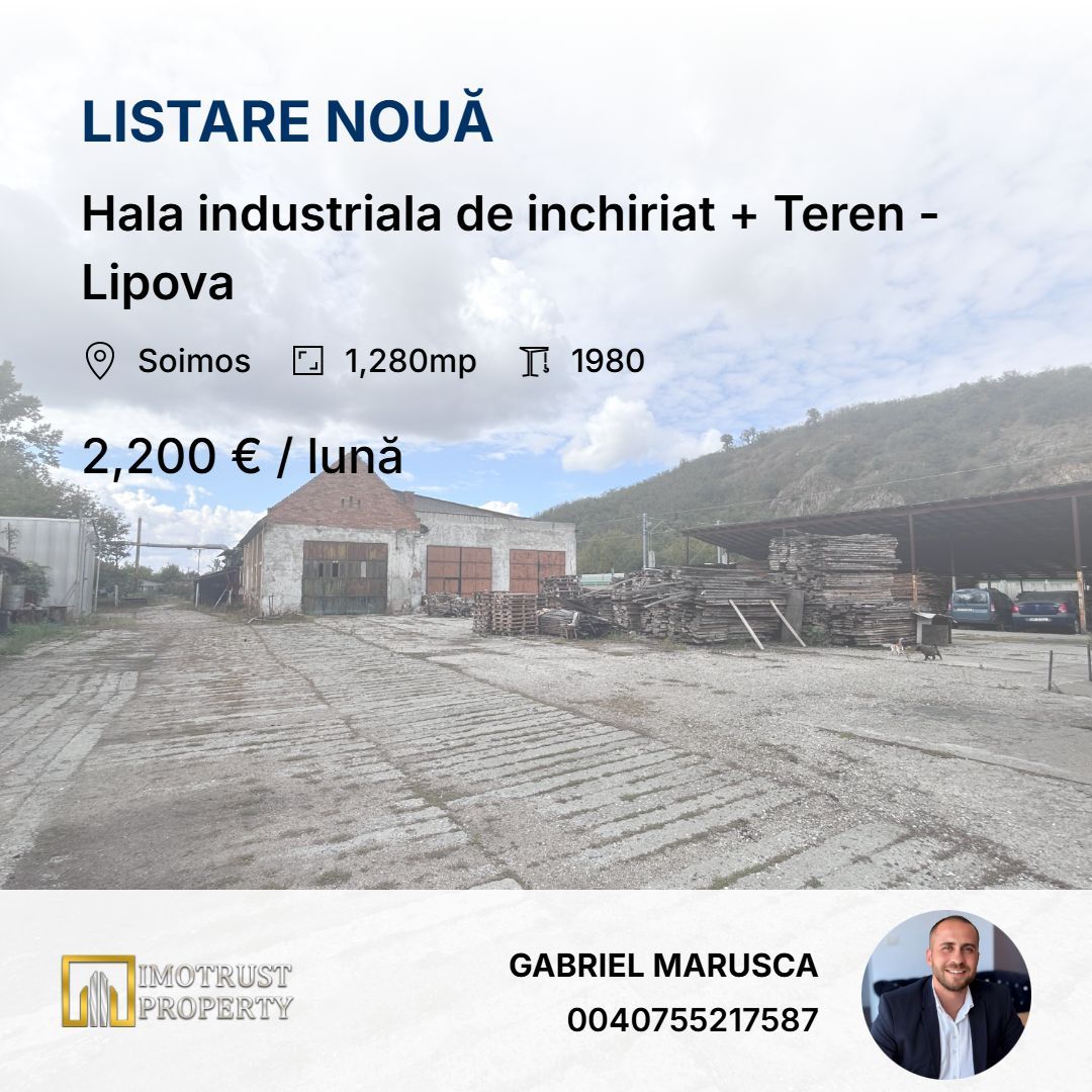 Hala industriala de inchiriat + Teren - Lipova - Poză 1