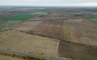 Teren 22.500 mp–Pecica, jud. Arad,Posibilitate PUZ - Poză 5