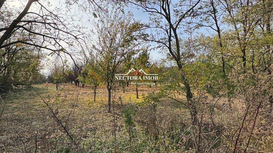 NECTORA IMOB-Teren cu livada matura+Anexa racordata la trifazic,9162mp - Poză 4