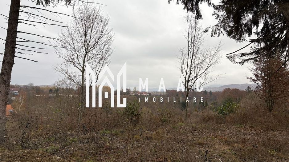 Teren intravilan | 2.000 mp |  Valea Avrigului - Poză 4