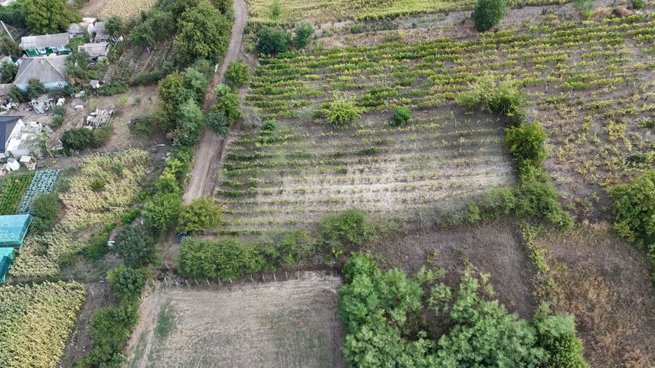 Teren de vânzare – 15 ari în Nimoreni, r-nul Ialoveni - Poză 6