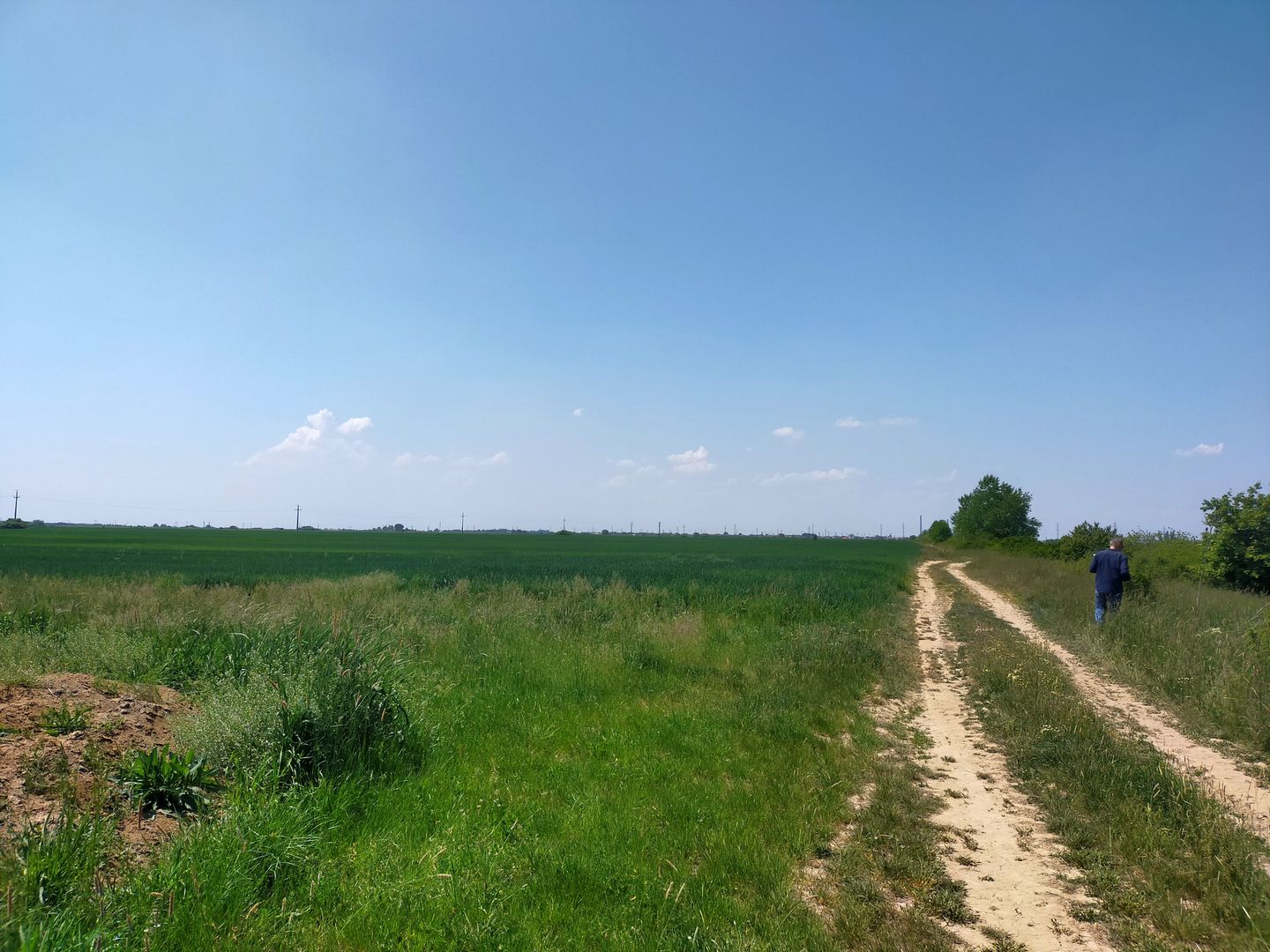 Teren extravilan agricol în Urseni - Poză 2