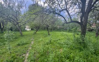 TEREN INTRAVILAN 7018 MP CAMPULUNG - Poză 14