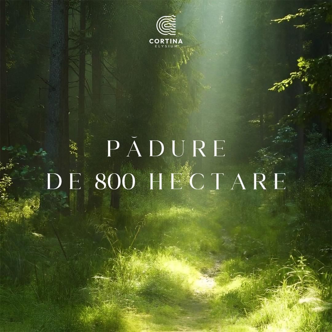 CORTINA ELYSIUM - Poză 13