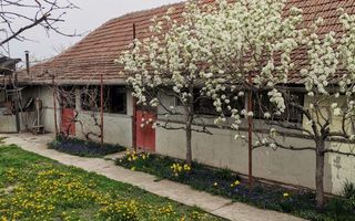 Casa de vanzare Variasu Mare, Arad - Poză 1