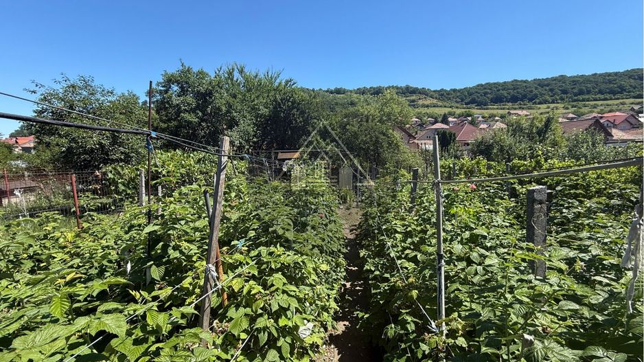 Casă 4 camere, Mediaș - Poză 13