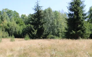 Terenuri Carpinis I parcelabil I Curent pe proprietati - Poză 44