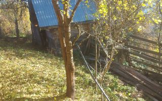 Super ofertă 35000 teren in Muntii Apuseni - Poză 22