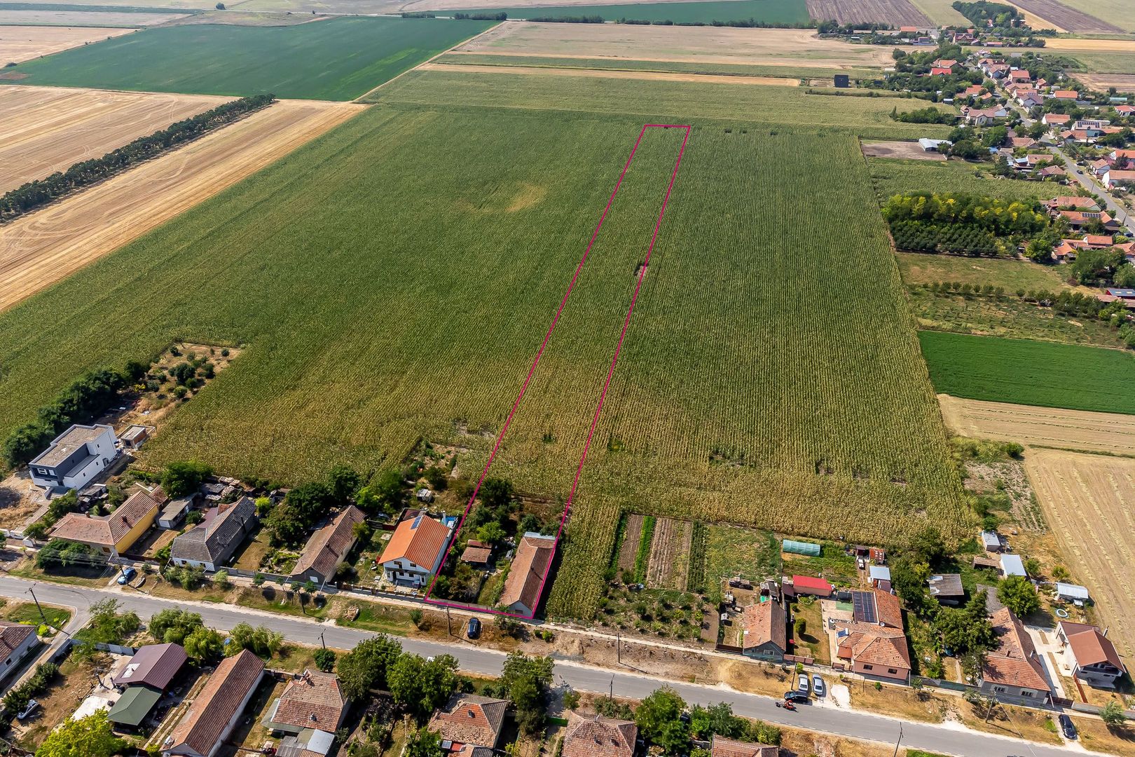 Casă Variasu Mare Jud. Arad cu teren 16883 mp - Poză 8