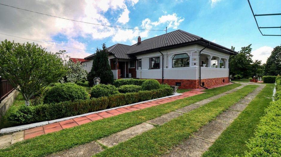 Casă boierească  de poveste- 7000 mp teren - Poză 7