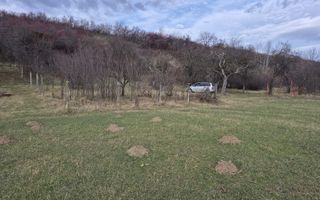 Teren de vanzare | Orlat | Extravilan - Poză 8