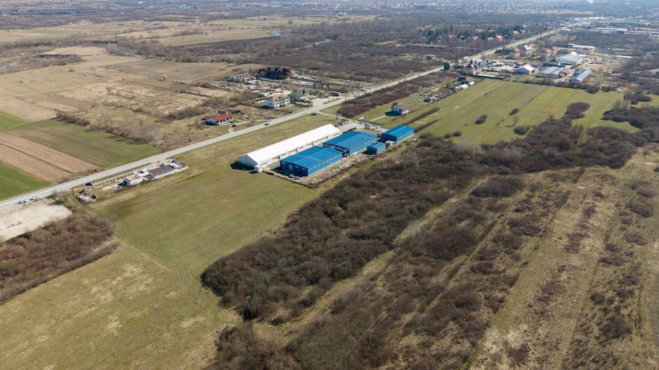 Teren extravilan de 7.000 mp lângă Păltiniș - Poză 11