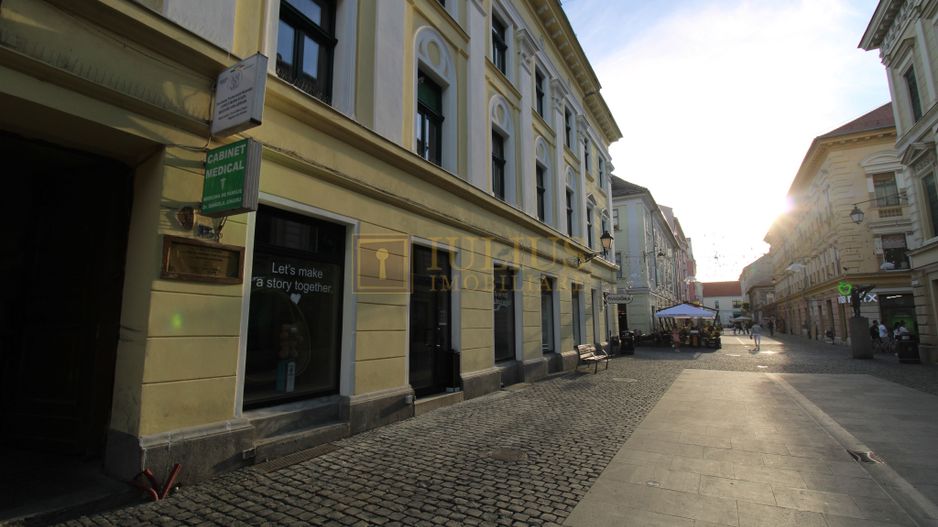 Spatiu birou in Piata Unirii; Eugen de Savoya. - Poză 1