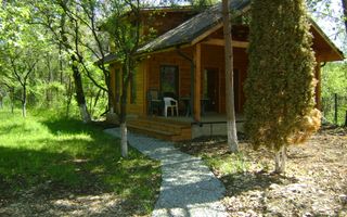 Vila de vanzare Cornu de Jos - Poză 34