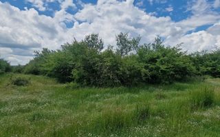 0% Comision!!! Teren intravilan Smeura - str Prunilor! - Poză 8