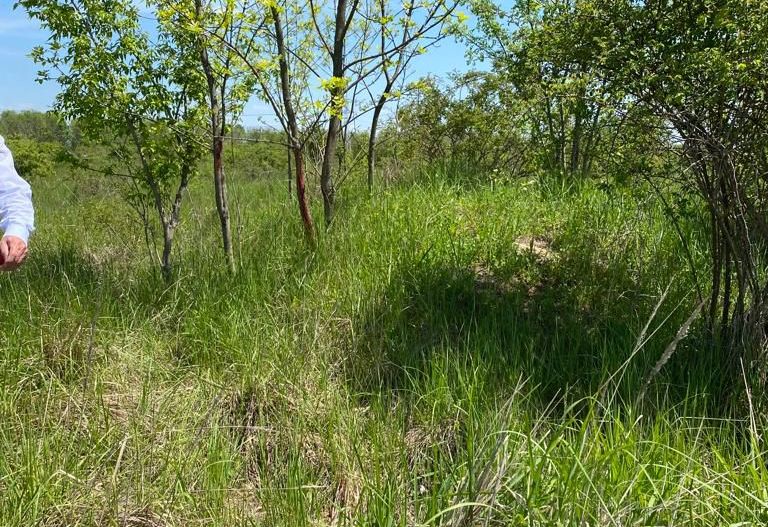 Teren la DN7 - ideal investitie (Benzinarie, spalatorie, hala) - Poză 4