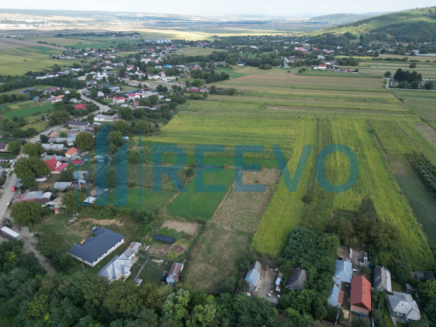 Teren intravilan 4.000 mp Blăgești, Bacău - Poză 3