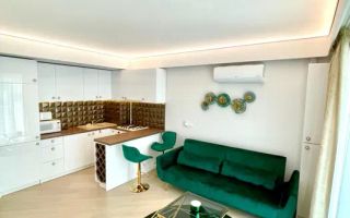 Apartament cochet cu 2 camere și parcare subterană în Cortina North - Poză 2