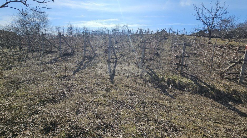 Teren pentru construcții 10 ari Vasieni, Ialoveni - Poză 5
