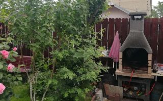 Casa de vanzare cartier 23 August Negociabil - Poză 3