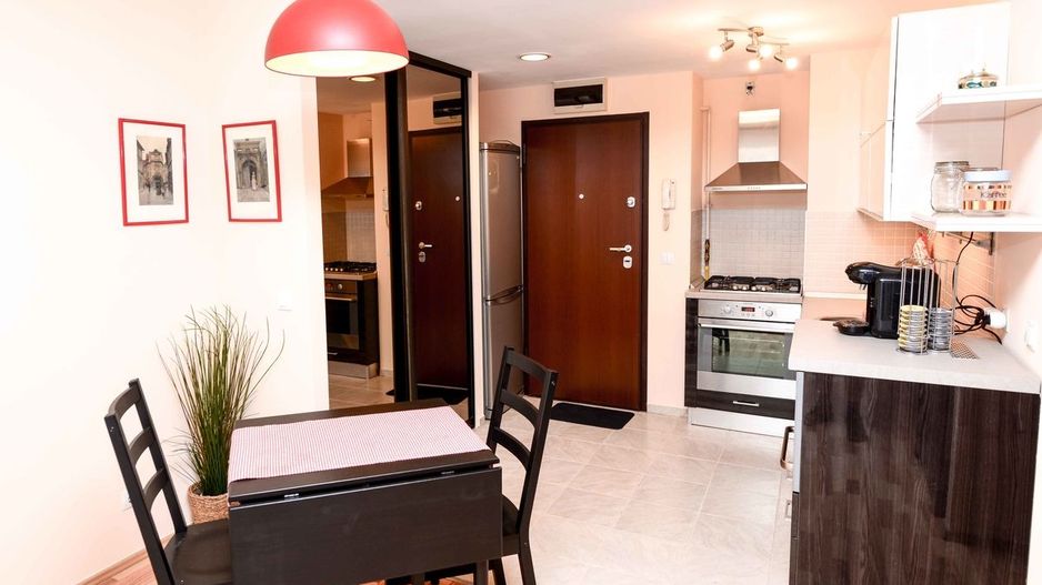 AP.2 CAMERE- ROSE GARDEN, PET-FRIENDLY, PARCARE, MASINA DE SPALAT VASE - Poză 12