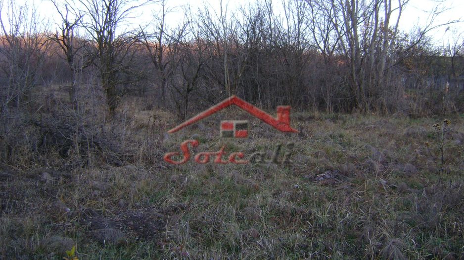 Teren de vanzare Cornu de Jos - Poză 3