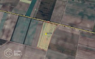 11 ha teren extravilan la DN 7 Seitin-Nandlac. Oportunitate de investitie! - Poză 2