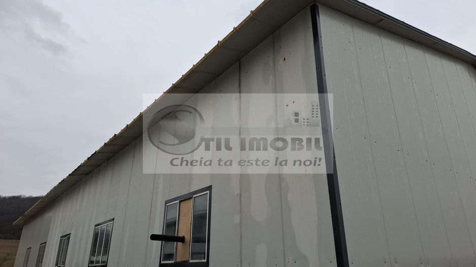 Hala de inchiriere 596 mp str. Trei Fantani - Poză 6
